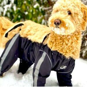 NEW size Medium BLACK dog all-weather protective pants